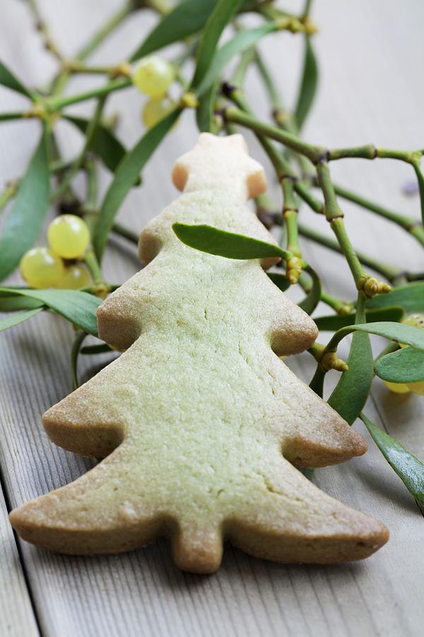 A Christmas Tree Biscuit And A Sprig Of Mistletoe Photograph by Martina Schindler