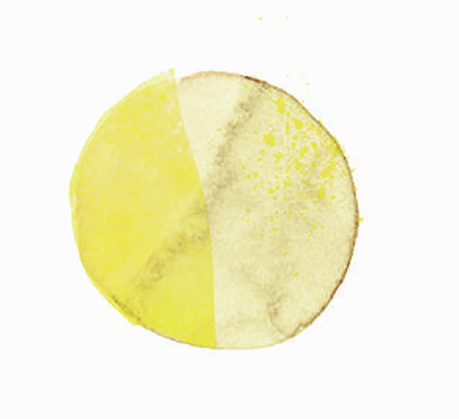 A Circle In Two Shades Of Yellow illustration Photograph by Lulu Jalag