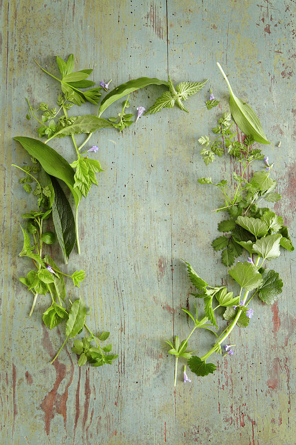 A Circle Of Various Fresh, Wild Herbs On A Wooden Surface Photograph by Anke Schtz