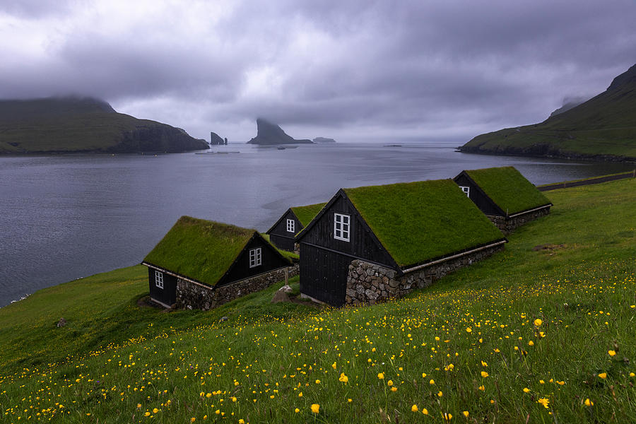 Landscape Photograph - A Classic Moring In Faroe Islands by Dianne Mao