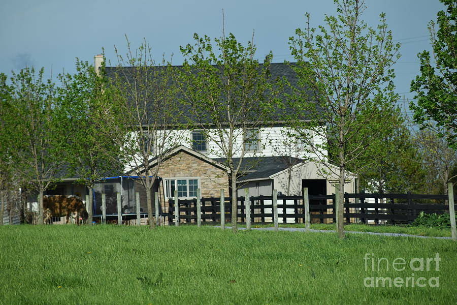 A Clear April Afternoon on an Amish Farm Photograph by Christine Clark