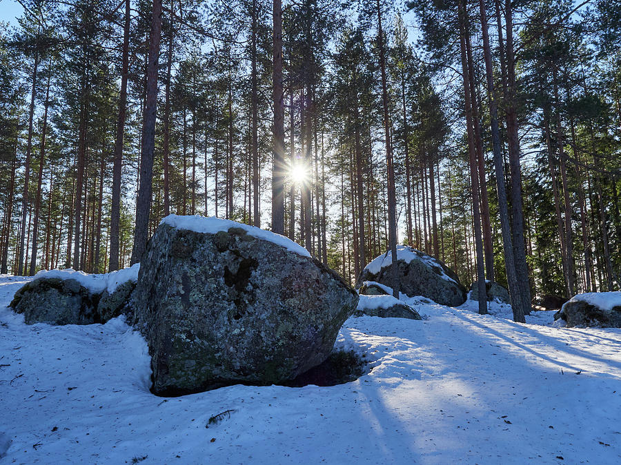 A clear winter day in the boulder forest Photograph by Jouko Lehto