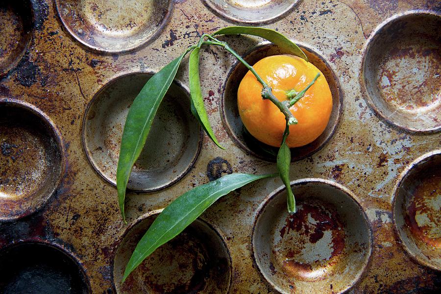A Clementine With Leaves In A Baking Tin Photograph by Andr Ainsworth