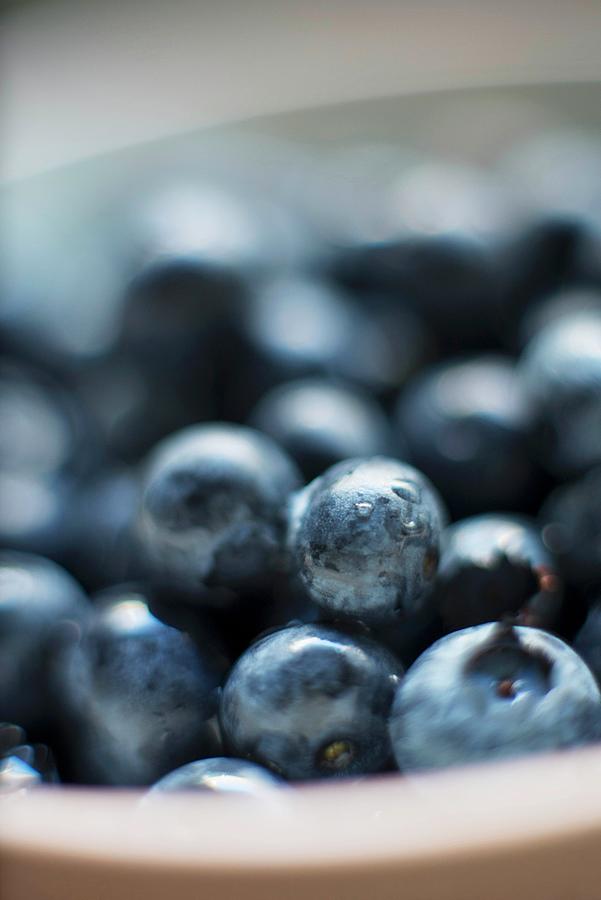 A Close Up Of Blueberries Photograph by Farrell Scott
