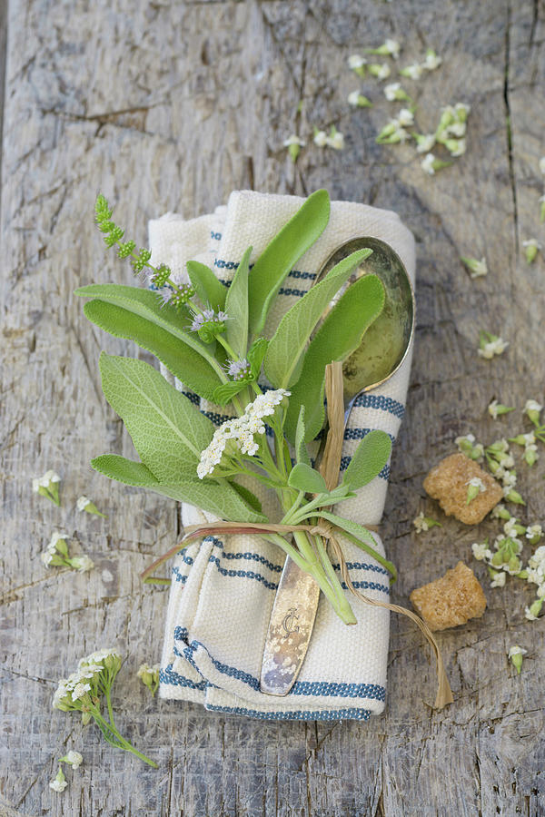A Cloth Napkin With Herbs And A Silver Spoon Photograph by Martina Schindler
