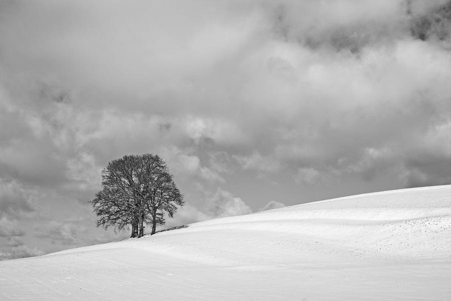 Landscape Photograph - A Cloudy Winter Day by Hans Peter Rank