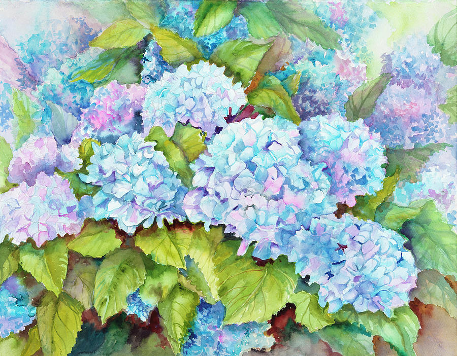 Nature Painting - A Cluster Of Hydrangeas by Joanne Porter