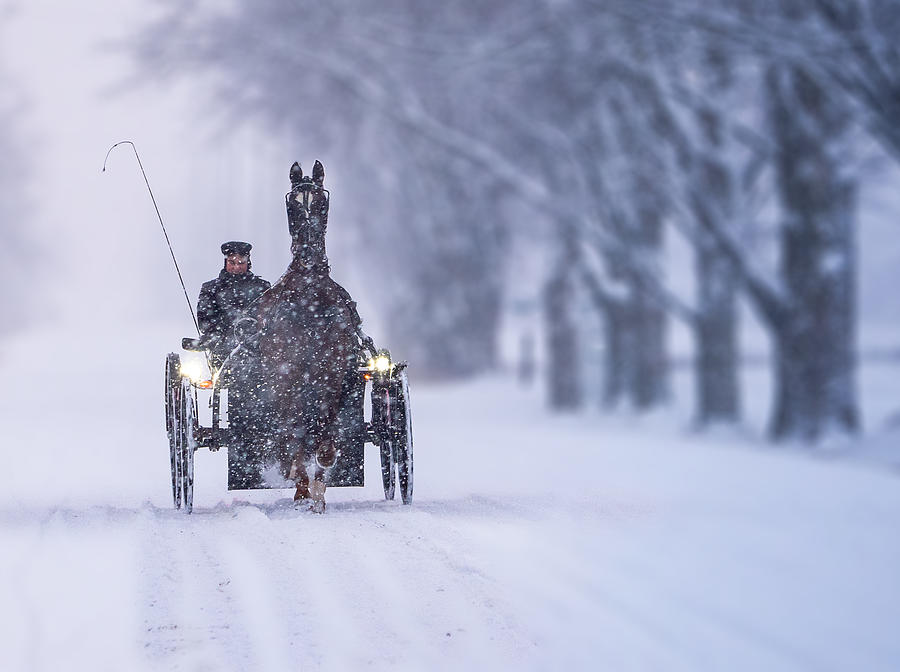 Horse Photograph - A Coachman In The Snow by Raghuvamsh Chavali