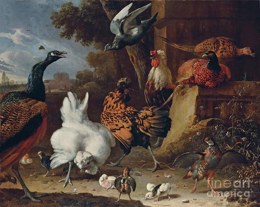 A Cockerel, Hens, Chicks, A Partridge, Pheasants, A Peacock And A Pigeon By A Wall In The Park Of A Mansion Painting by Melchior De Hondecoeter