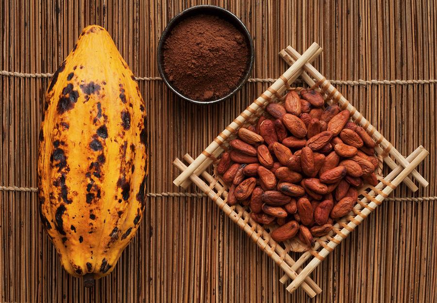A Cocoa Pod, Cocoa Powder And Cacao Beans Photograph by Flvio Coelho