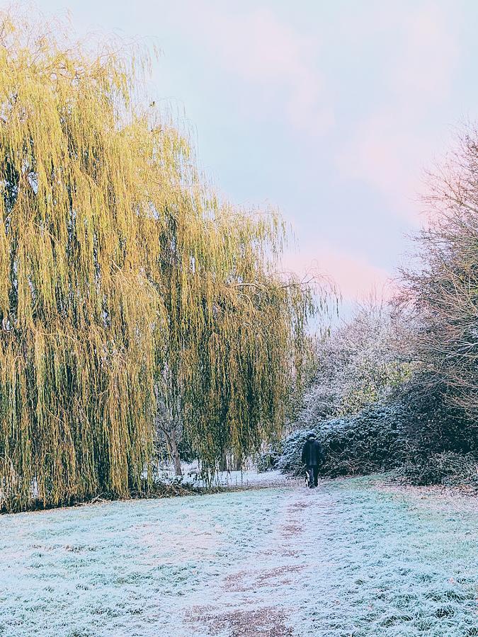 A Cold And Frosty Morning Photograph by Elizabeth Allen