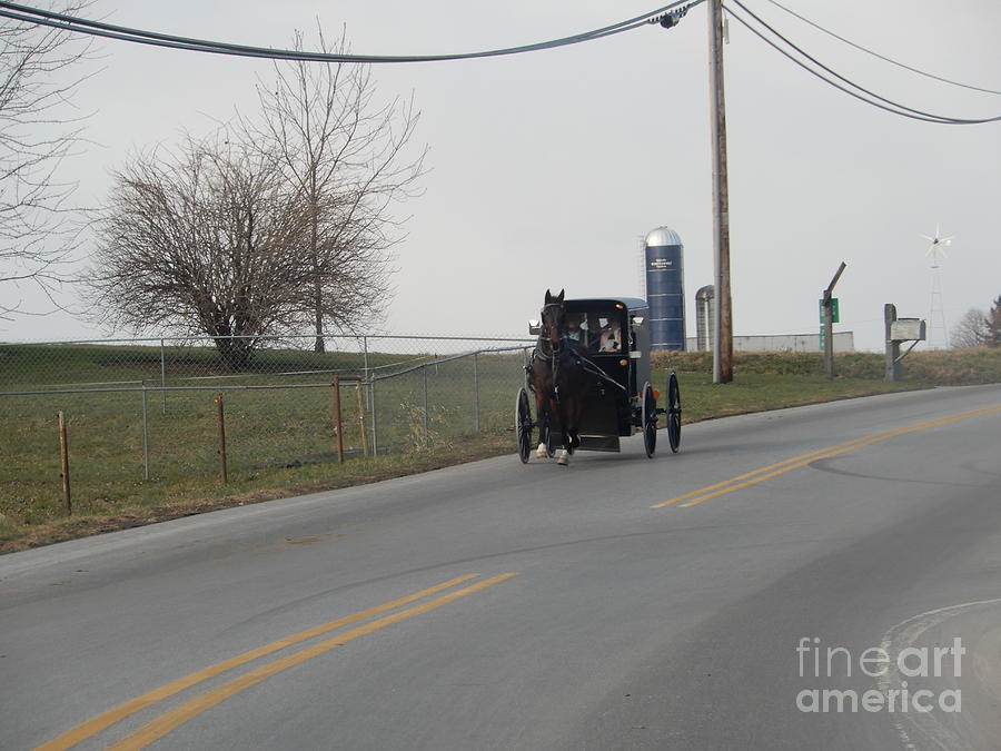 A Cold Buggy Ride Home from Church Photograph by Christine Clark
