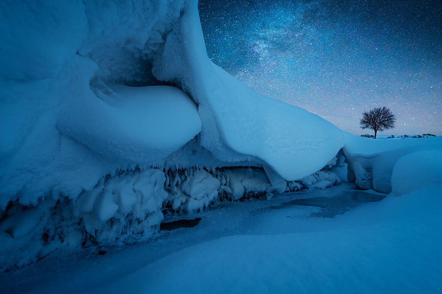 A Cold Night Photograph by Bingo Z
