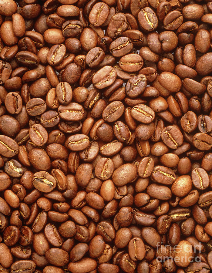 A Collection Of Coffee Beans Photograph by Astrid & Hanns-frieder Michler/science Photo Library