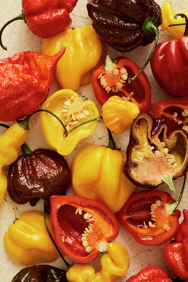 A Colourful Mix Of The Hottest Chilli Peppers In The Market Photograph by Edyta Girgiel
