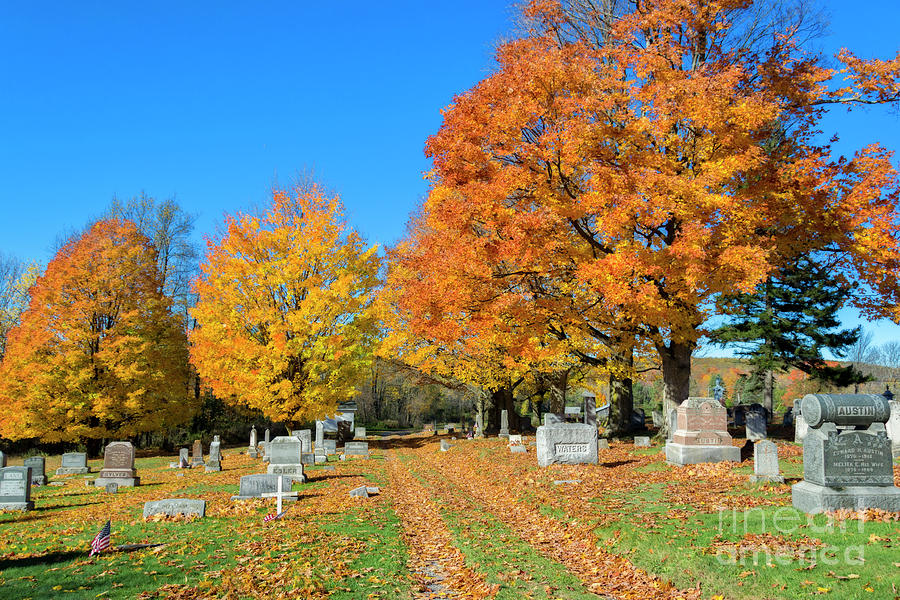 A Colourful Resting Place Photograph by Lenore Locken
