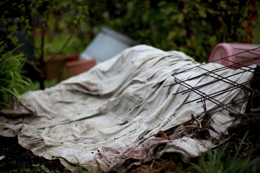A Compost Heap In A Garden Photograph by Barbara Bonisolli