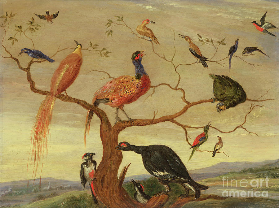 A Concert Of Birds Painting by Jan Van Kessel - Fine Art America