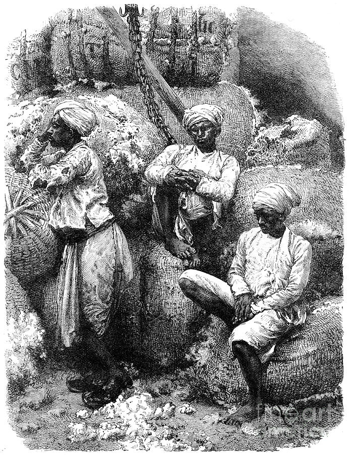 A Cotton Market In Bombay, India, 19th Drawing by Print Collector