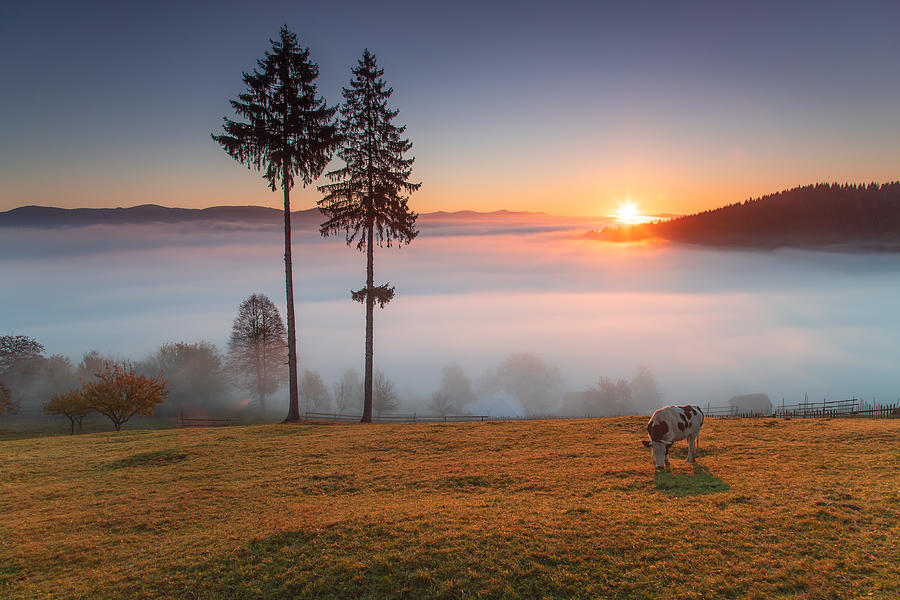 A Countryside Sunrise Photograph by Alexandru Ionut Coman