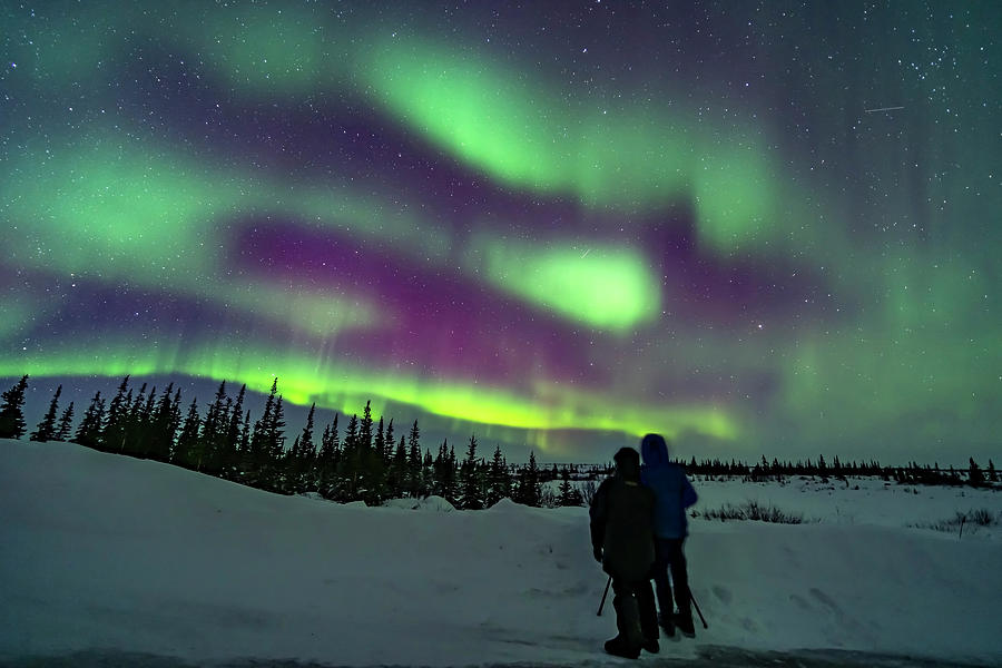 Winter Photograph - A Couple Watching The Northern Lights by Alan Dyer