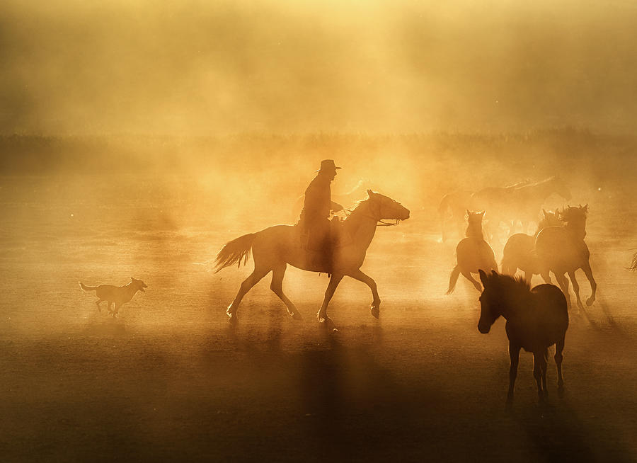 Horse Photograph - A Cowboy In Anatolia by Hseyin Konak