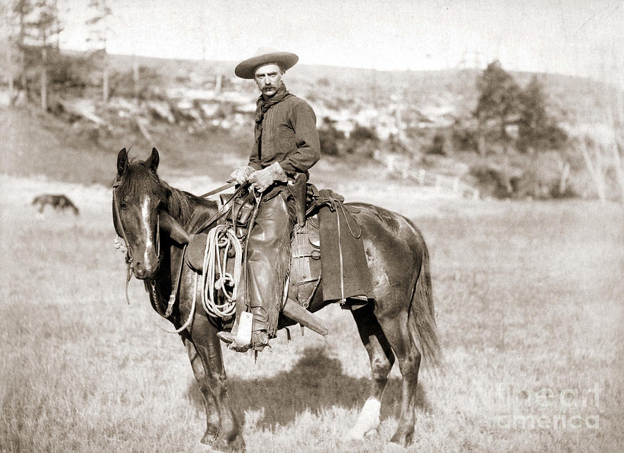 Vintage Photograph - A Cowboy On Horseback, Photo, 19th Century by American School
