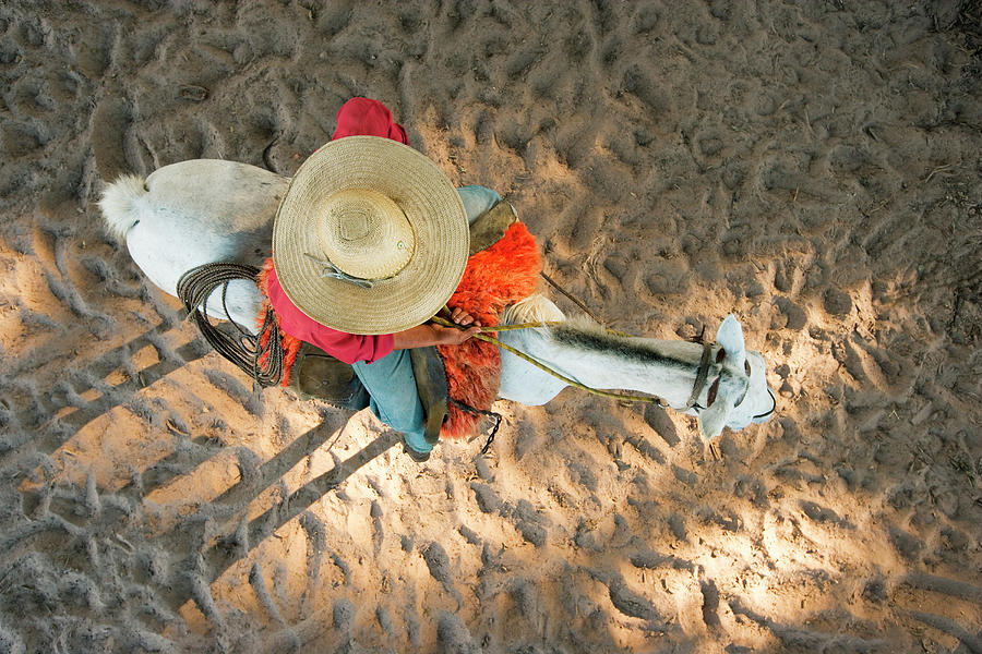 A Cowboy Riding A Horse, Fazenda Rio Photograph by Mint Images/ Art Wolfe