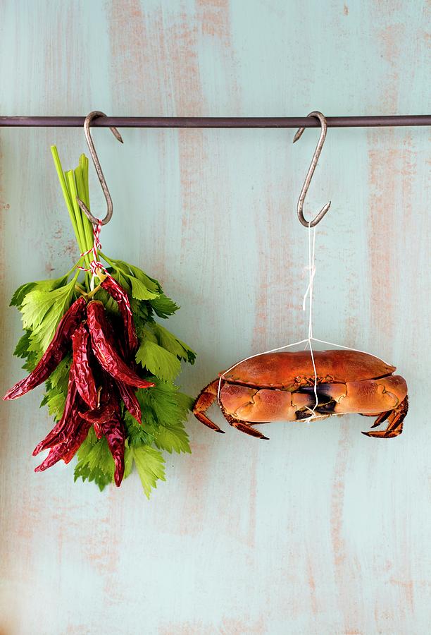 A Crab, Dried Chilli Peppers And Fresh Herbs Hanging From Hooks Photograph by Jamie Watson