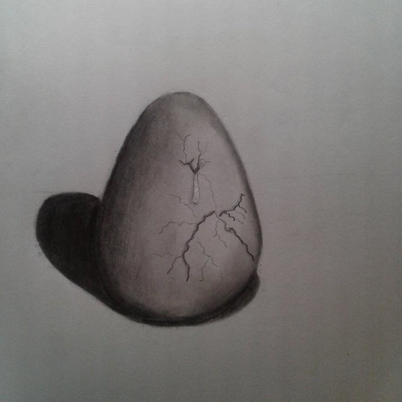 A Crack In The Egg Drawing by Adam Henson.