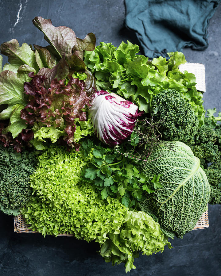 A Crate Of Savoy Cabbage, Parsley, Thyme, Lollo, Kale, Oak-leaf Lettuce And Radicchio Photograph by Kati Neudert