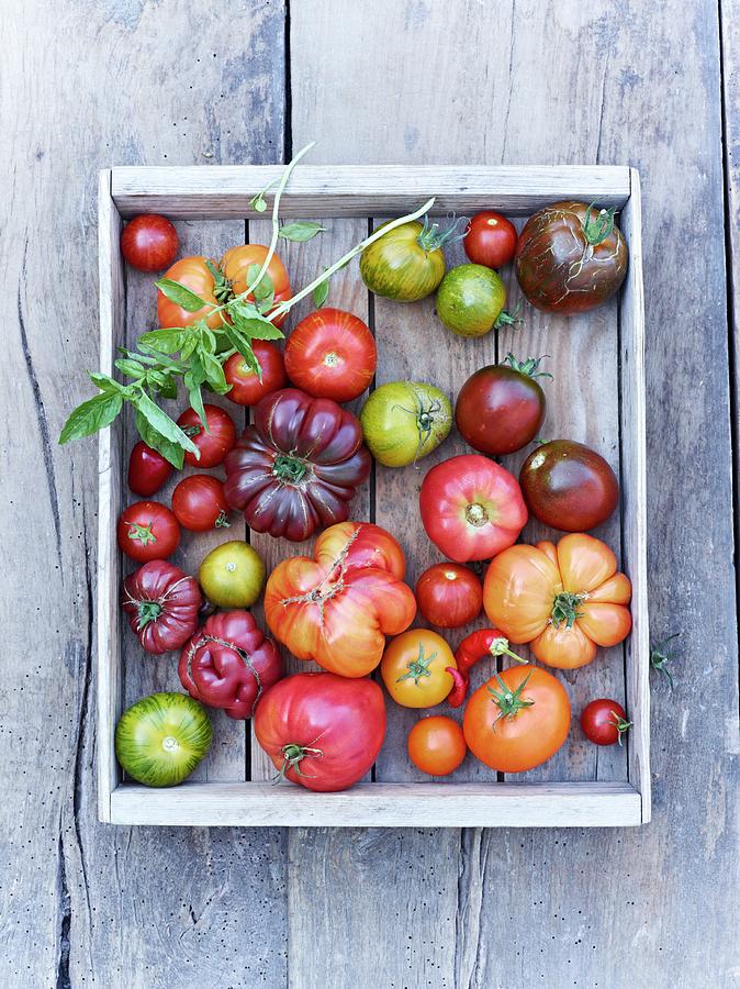 A Crate Of Tomatoes On A Wooden Background top View Photograph by