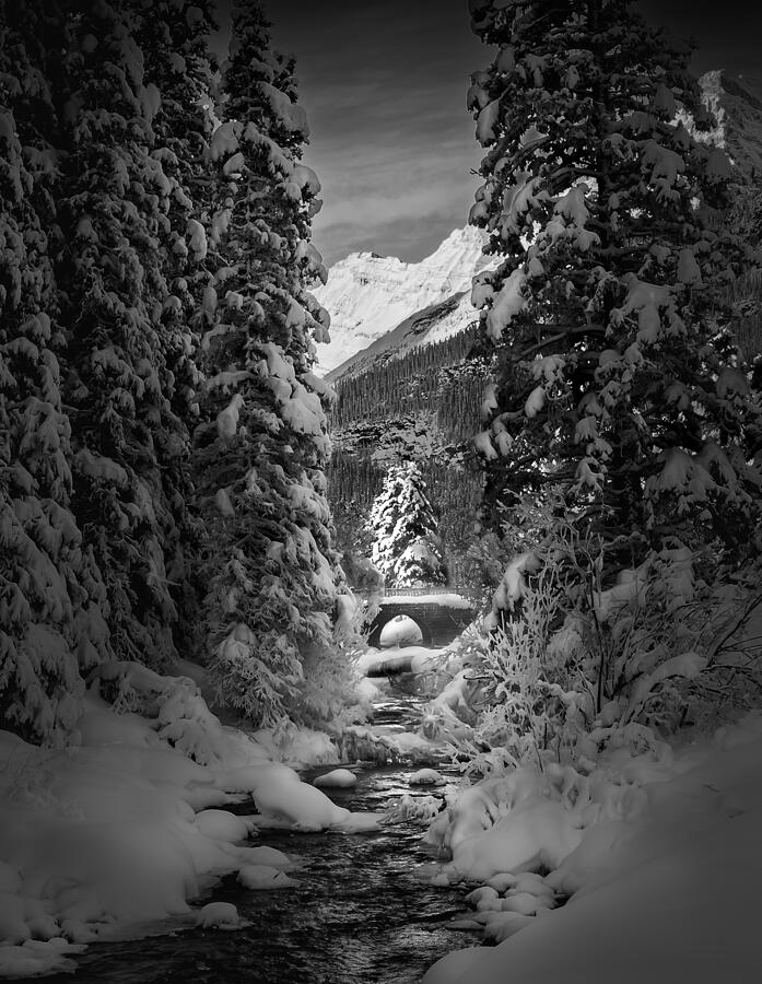 A Creek In A Winter Morning Photograph by Bing Li