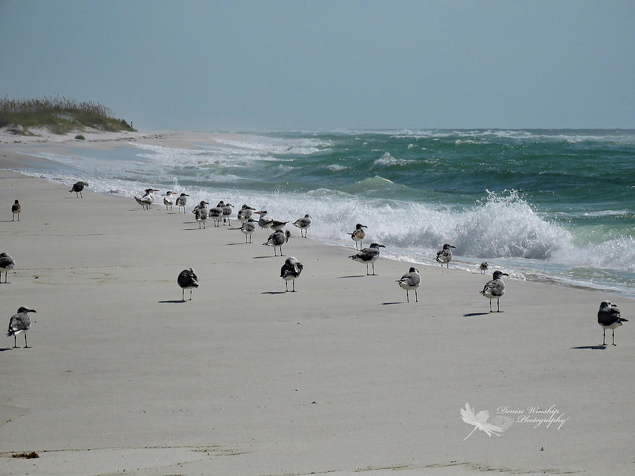 A Crowd at the Beach Photograph by Denise Winship