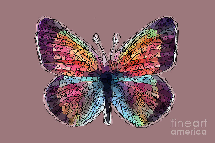 A Crystaline Painted Butterfly  Photograph by Wernher Krutein