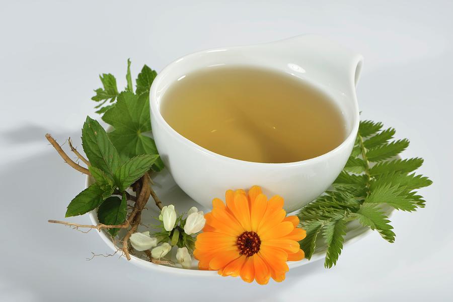 A Cup Of Herbal Tea With Marigold, Dead-nettle, Lemon Balm, Silverweed, Peppermint And Valerian Root Photograph by Otmar Diez