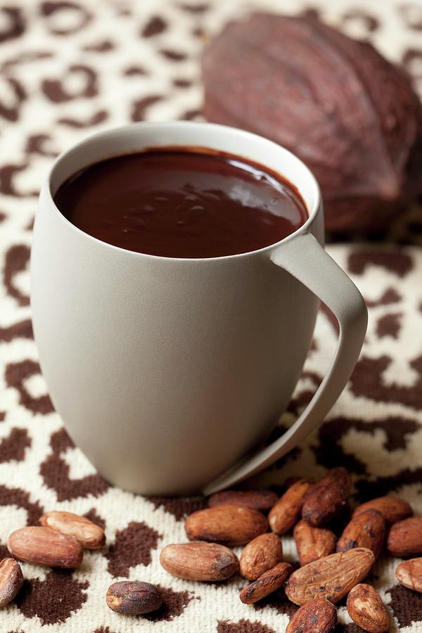 A Cup Of Hot Chocolate Photograph by Hilde Mche
