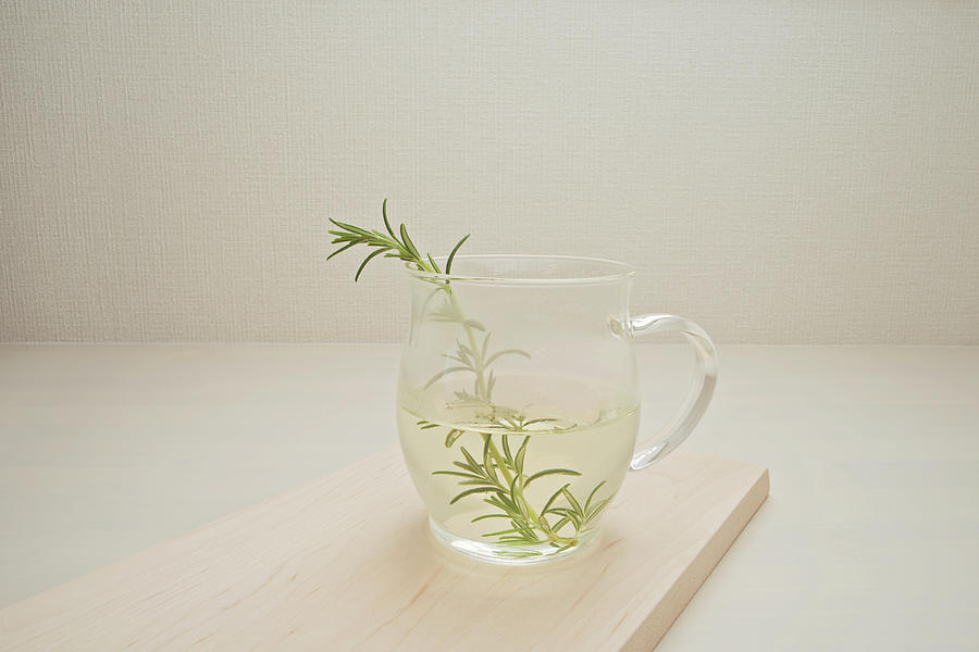 A Cup Of Rosemary Tea Photograph by Margarita Komine