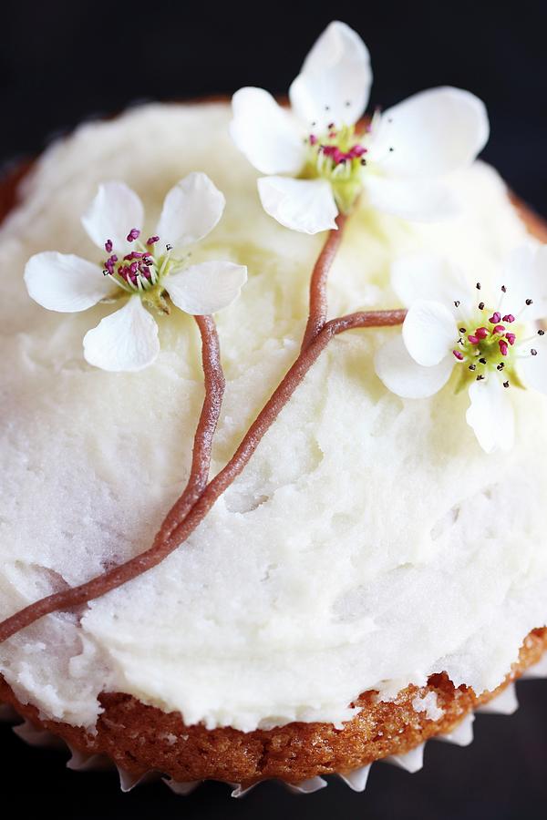 A Cupcake Decorated With Cherry Blossoms Photograph by Lee Parish