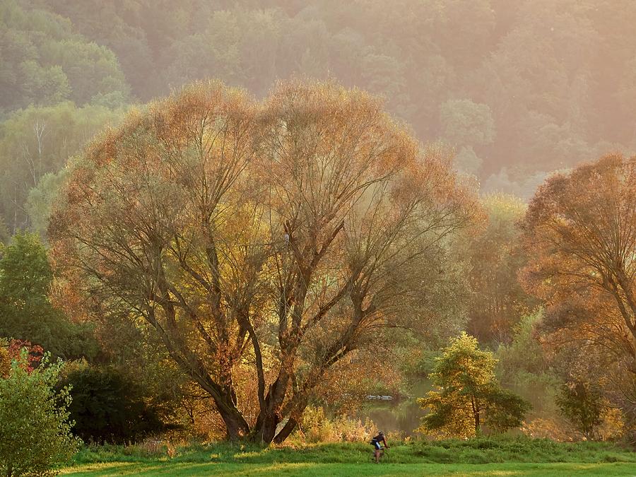 A Cyclist Enjoying The Nature In The Beautiful Rhur Valley, North Rhine Westphalia Photograph by Jalag / Klaus Bossemeyer