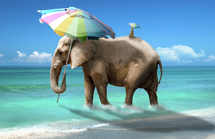 A Day at the Beach by Marc Ward A Day at the Beach by Marc Ward
