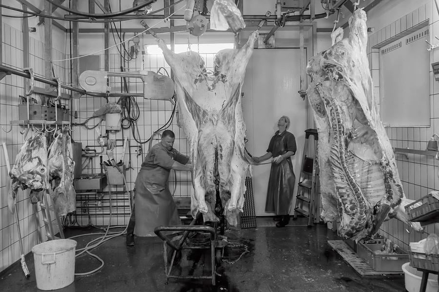 Documentary Photograph - A Day In The Abattoir 3 by Gert Van Den Bosch