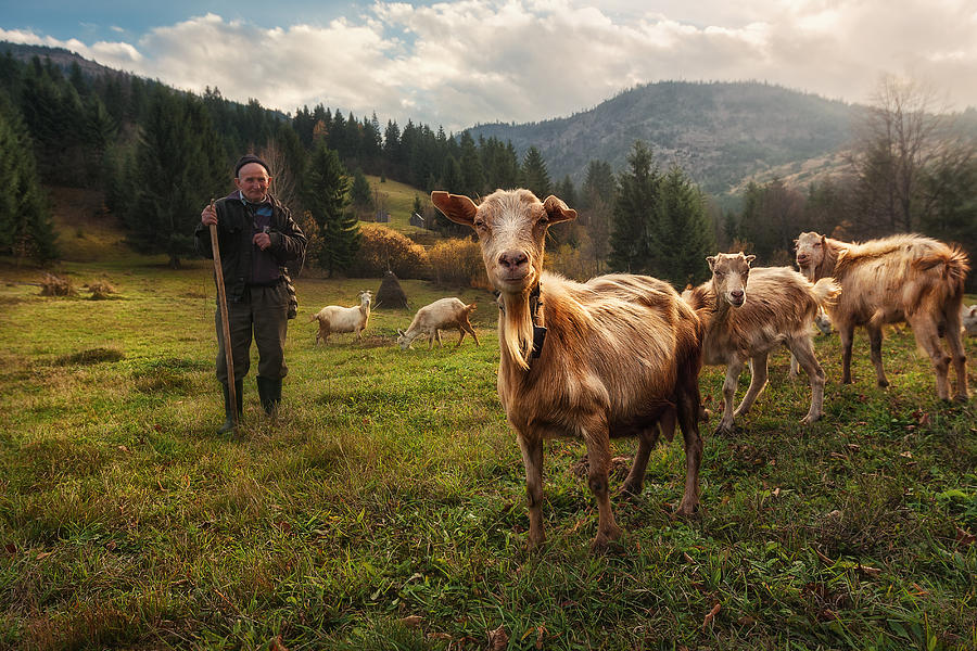 Romania Photograph - A Day In The Carpathian Mountains by Felipe Souto
