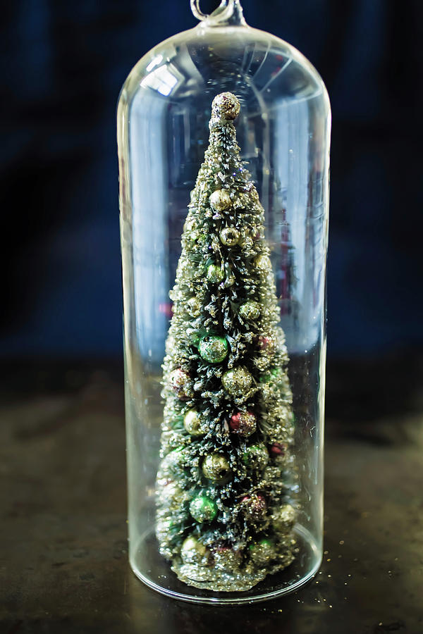 A Decorative Christmas Tree Under A Glass Cloche Photograph by Eising Studio