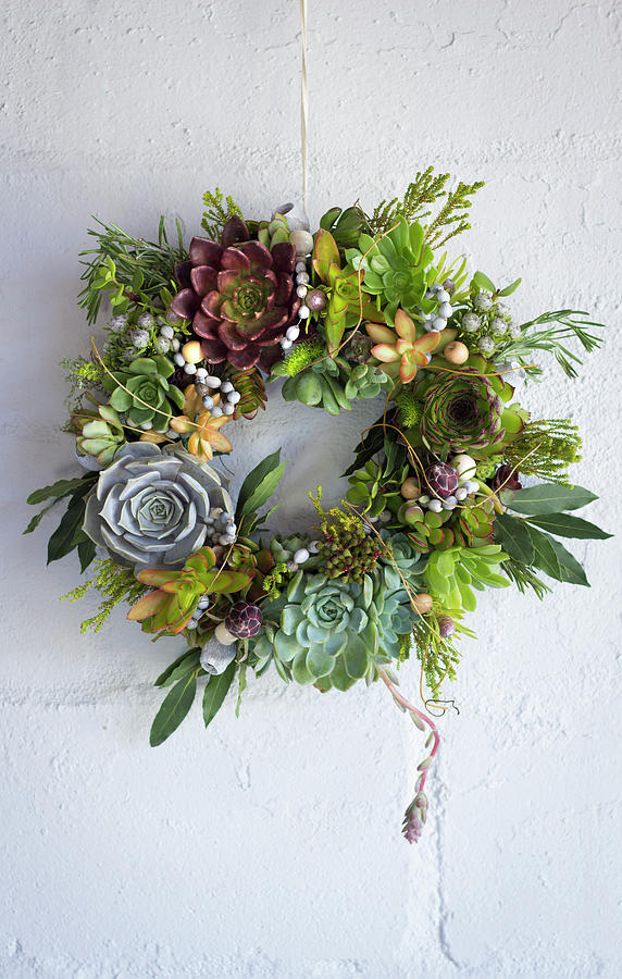 A Decorative Wreath Of Succulents Photograph by Great Stock!
