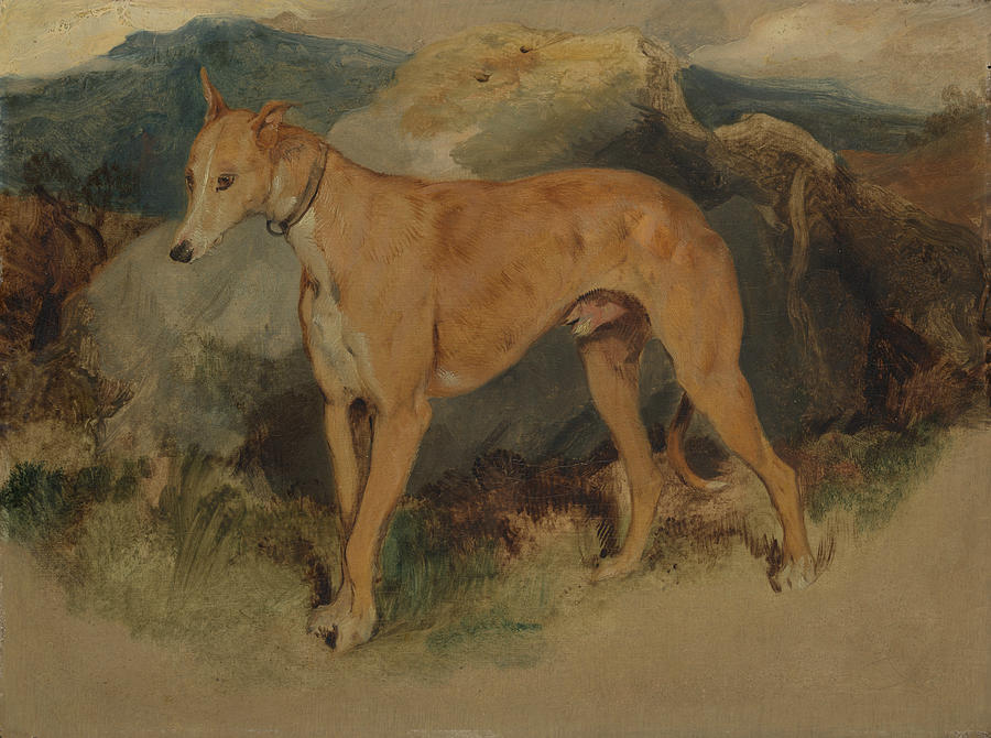A Deerhound Painting by Edwin Landseer