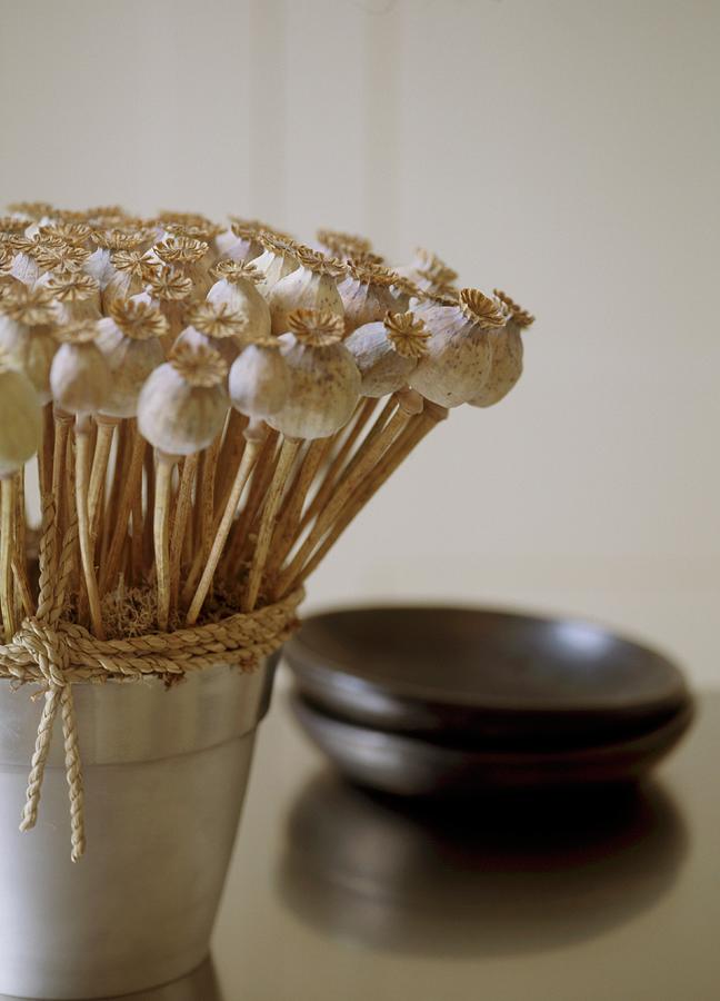 A Detail Of An Arrangement Of Dried Poppy Seed Heads In Steel Pot Photograph by Winfried Heinze