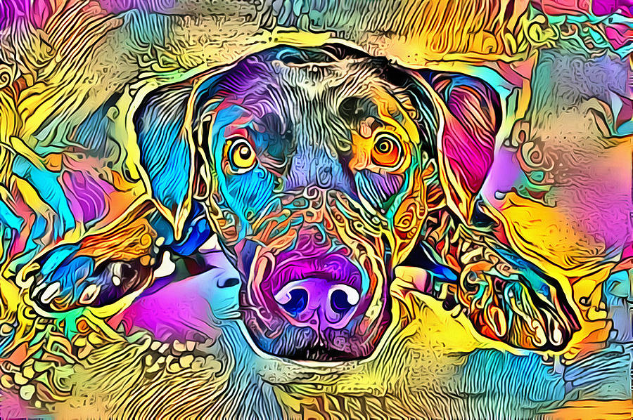 A dog lies in bright and colourful colours Digital Art by Gina Koch