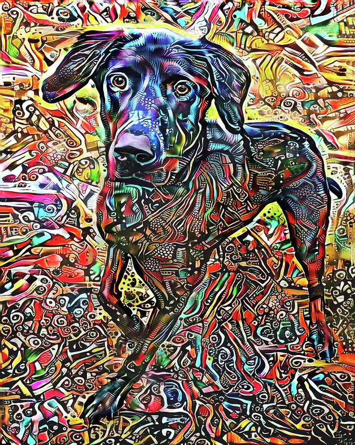 A Dog Named Harley Digital Art by Peggy Collins