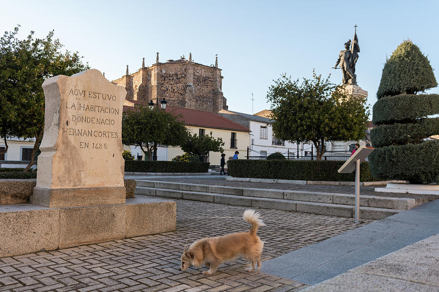 A Dog Passes Next To A Monolith That Marks The Place The Room Of The House Where Hernan Cortes Was Born In A Plaza In Medellin, Extremadura, Spain. Photograph